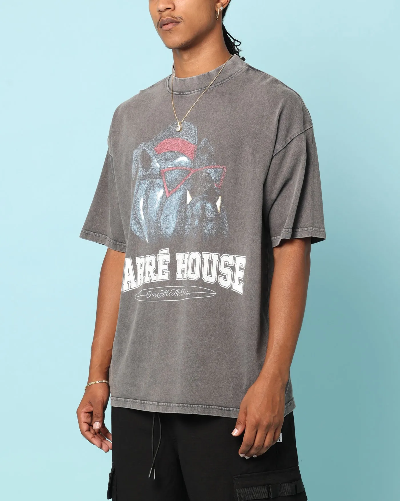 Carré Dog House T-Shirt Washed Charcoal