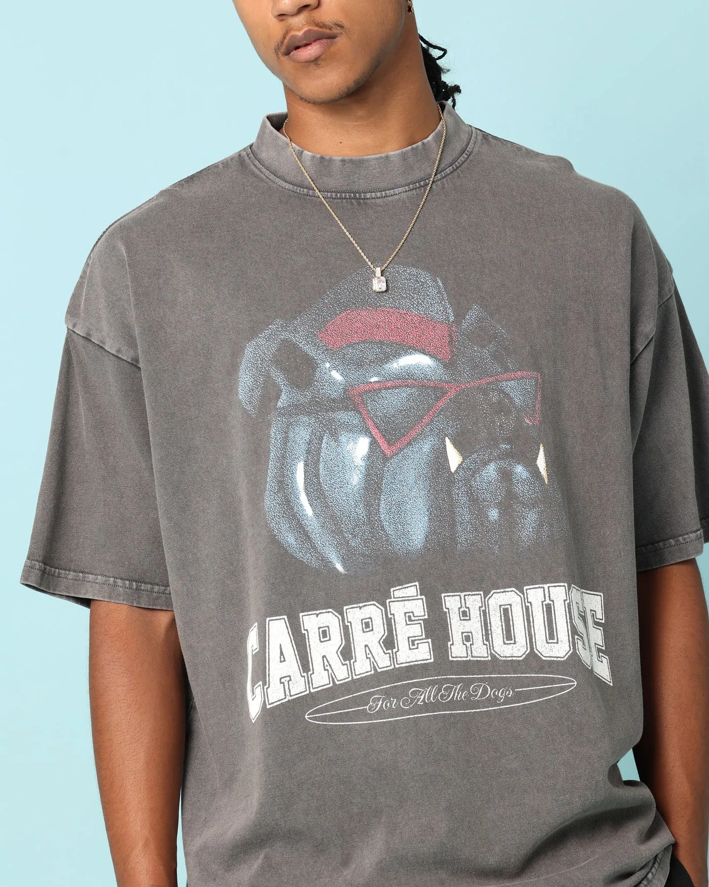 Carré Dog House T-Shirt Washed Charcoal