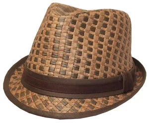 Fedora -- Stingee Paper -- Brown/Check