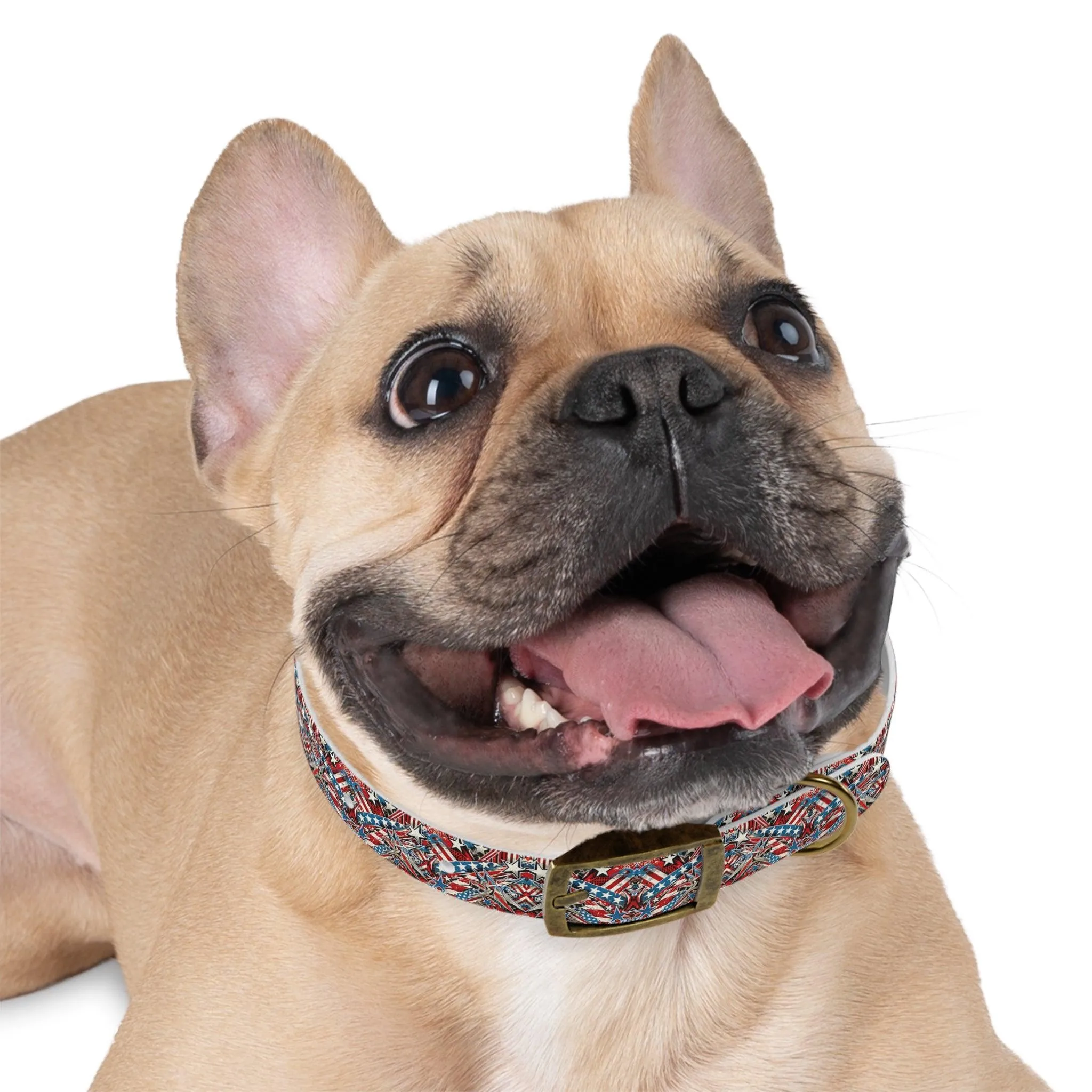 Graffiti Art Americana Dog Collar