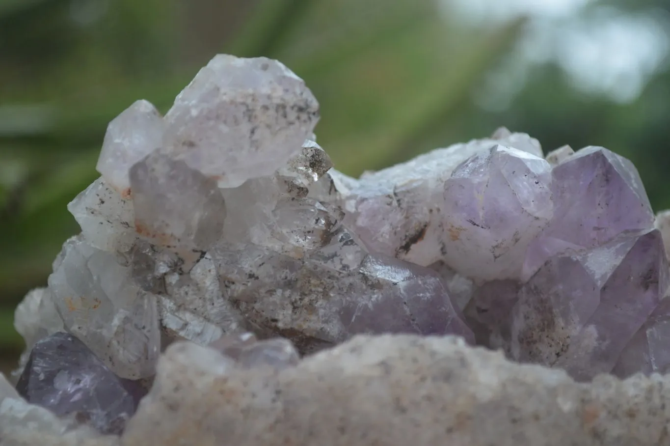 Natural Jacaranda Amethyst Cluster x 1 From Mumbwa, Zambia