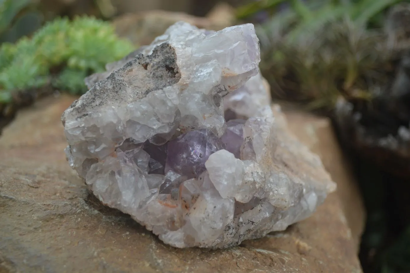 Natural Jacaranda Amethyst Cluster x 1 From Mumbwa, Zambia