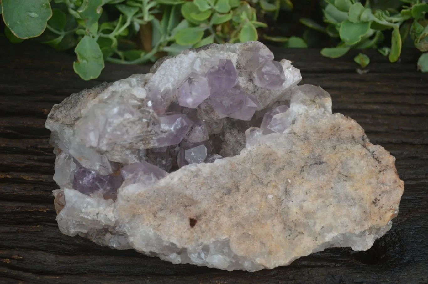 Natural Jacaranda Amethyst Cluster x 1 From Mumbwa, Zambia