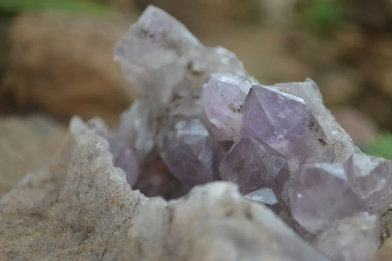 Natural Jacaranda Amethyst Cluster x 1 From Mumbwa, Zambia