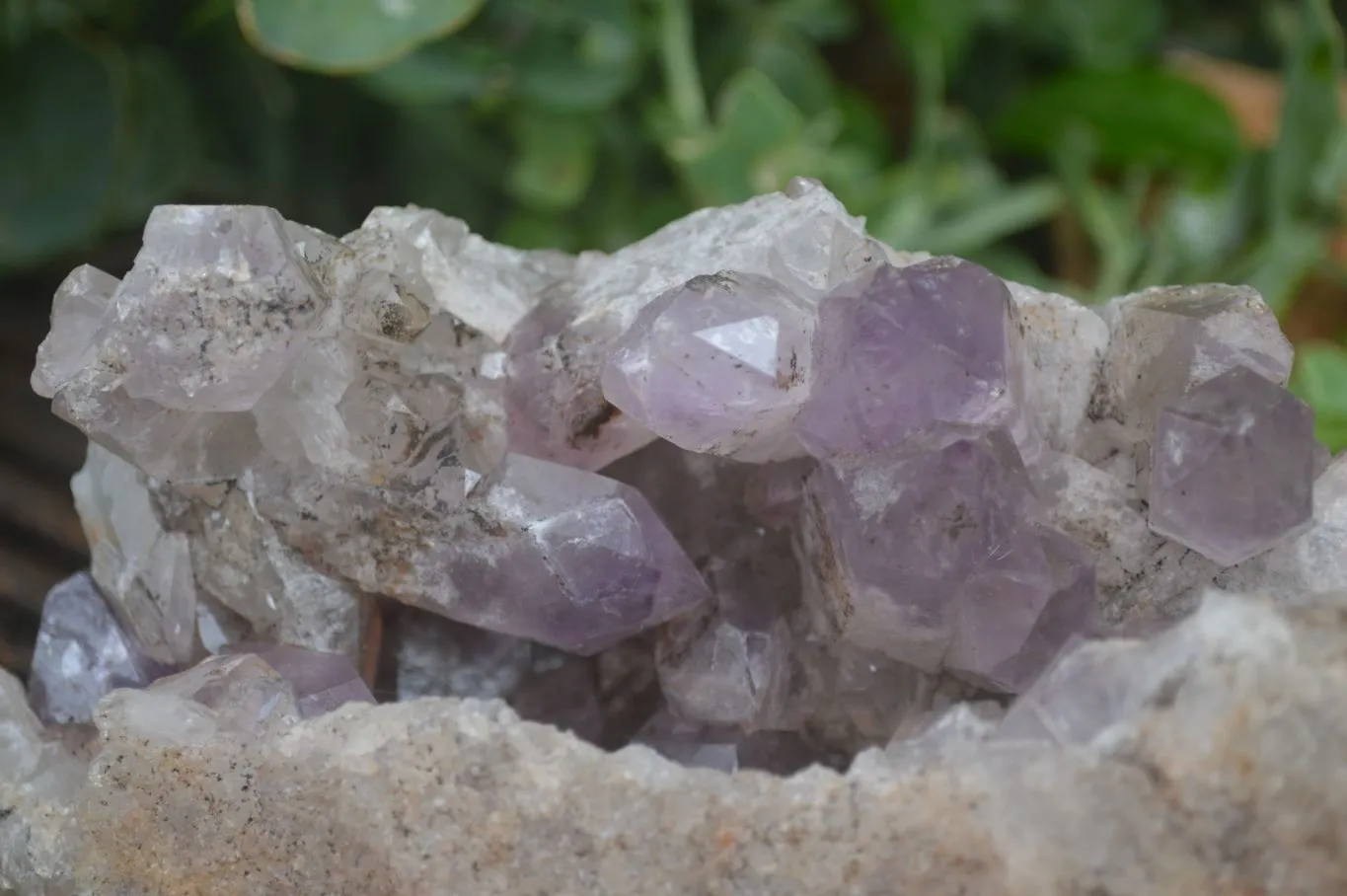 Natural Jacaranda Amethyst Cluster x 1 From Mumbwa, Zambia