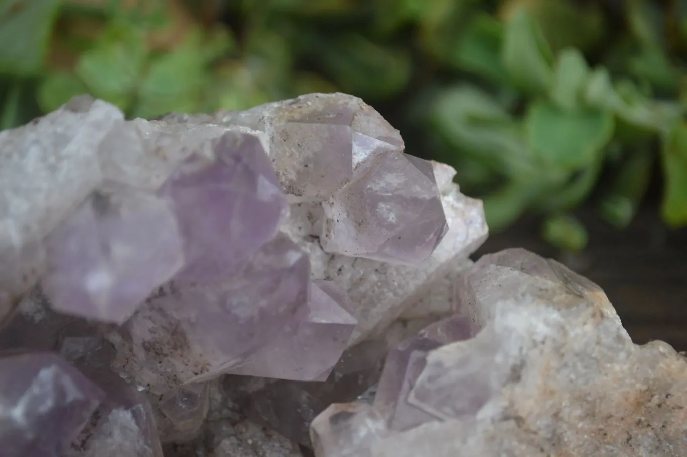 Natural Jacaranda Amethyst Cluster x 1 From Mumbwa, Zambia