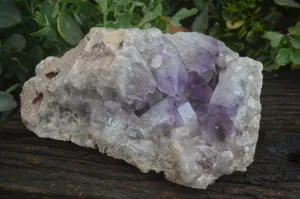 Natural Large Jacaranda Amethyst Vug Specimen x 1 From Mumbwa, Zambia